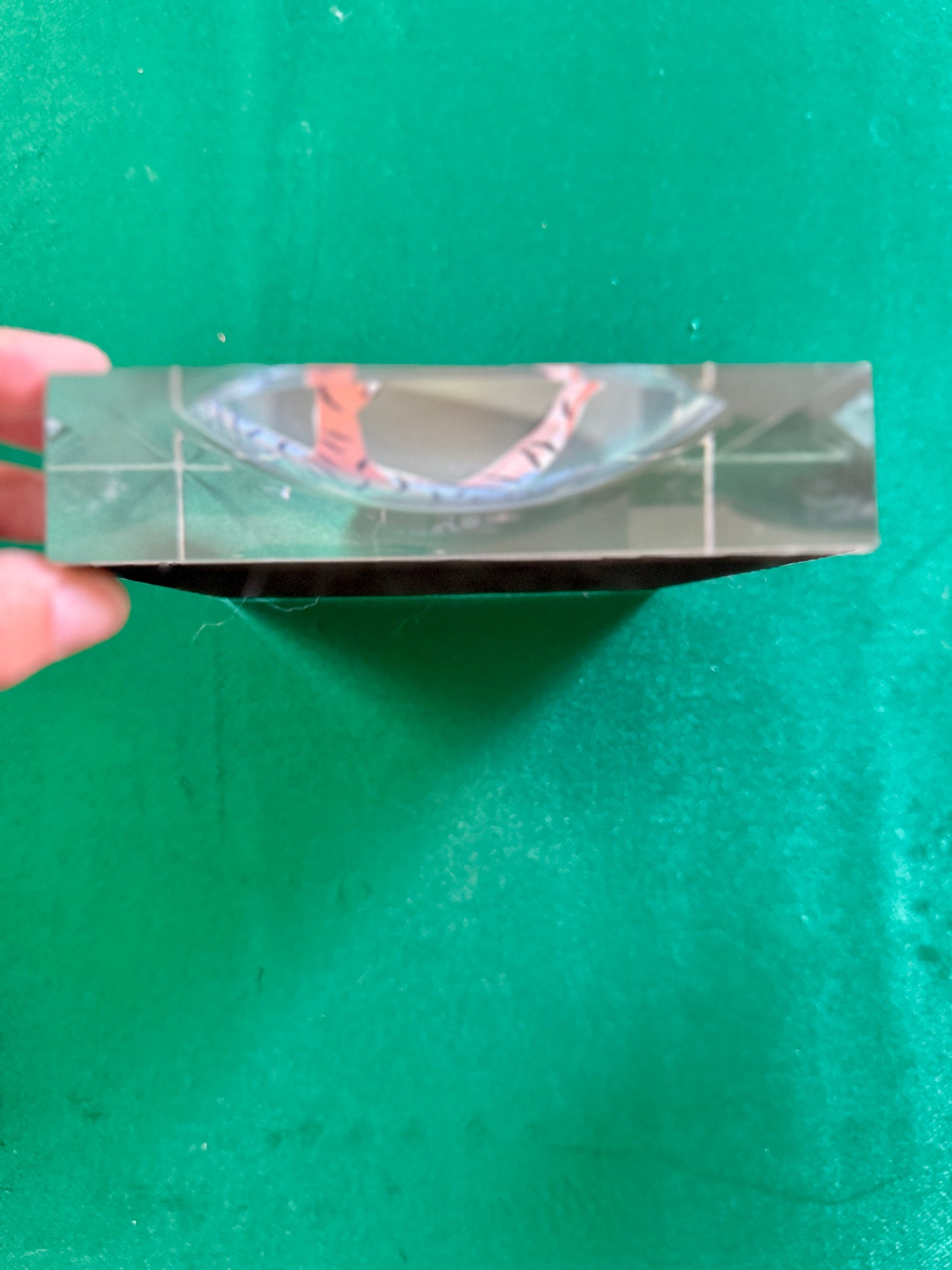 acrylic catchall tiger tray in green