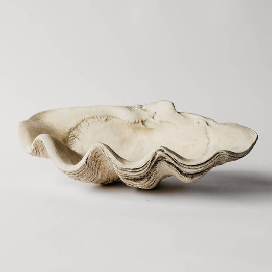 Large Clam Shell - Hand Cast Decorative Statement Piece