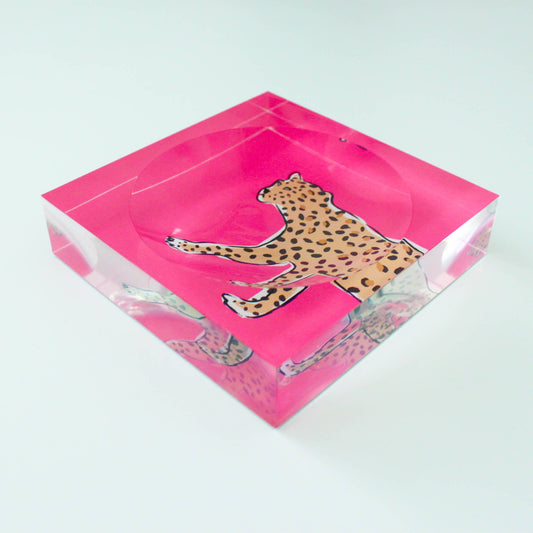 acrylic catchall leopard tray in pink
