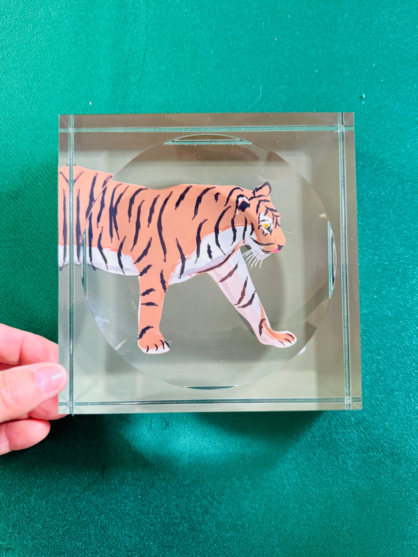acrylic catchall tiger tray in green