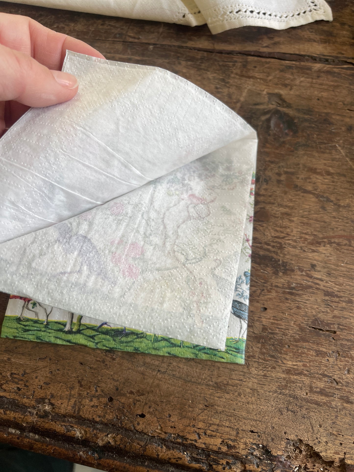 Exotic Birds and Fauna Chinoiserie Paper Cocktail Napkins - 20 Count, Tropical Cocktail Napkins
