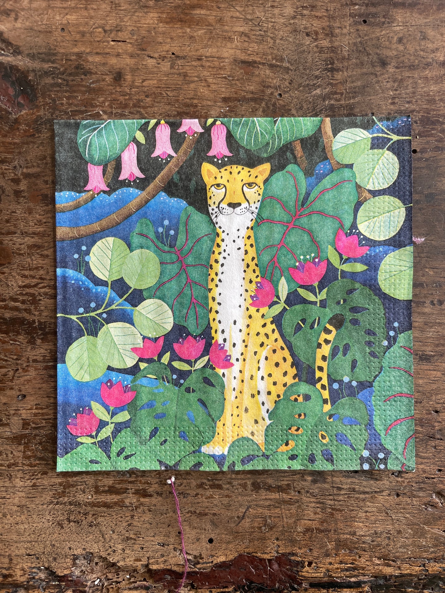 Cheetah Beverage Paper Napkins - 20 Count, Cocktail Party Napkins