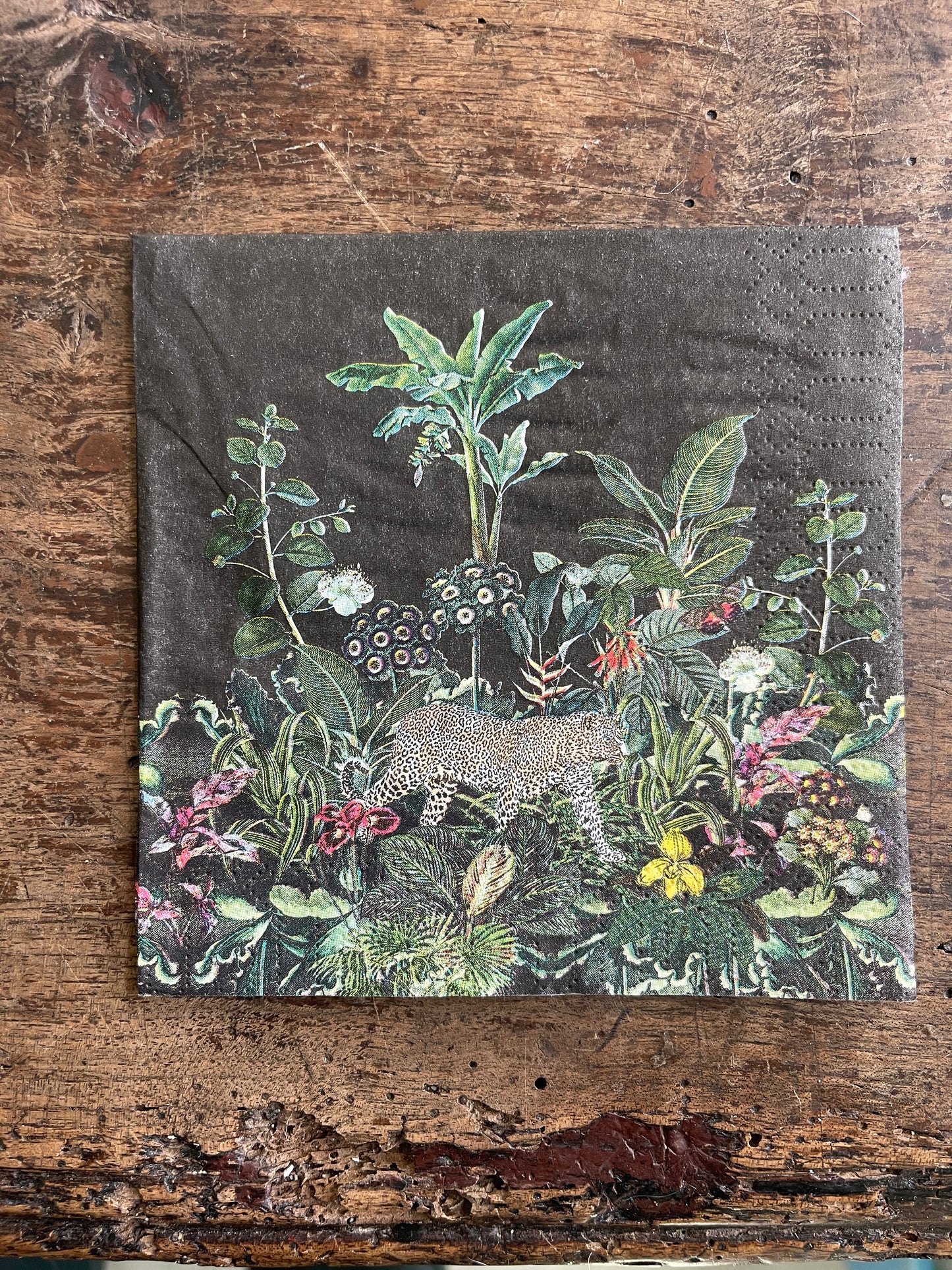 Leopard in Night Tropical Jungle Paper Beverage Napkins, 20 Count Cocktail Party Napkins