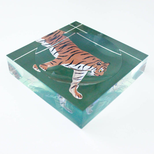 acrylic catchall tiger tray in green