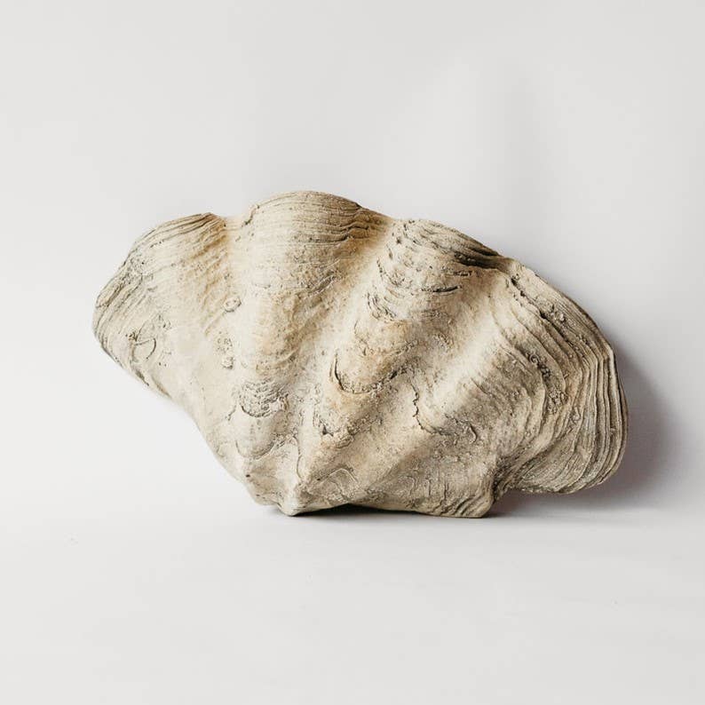 Large Clam Shell - Hand Cast Decorative Statement Piece